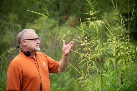 Man stands in field